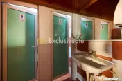 Spatiu de inchiriat - intersectia Valea Mare-Stefanesti -... 