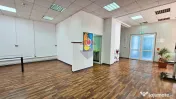 Birouri 123 mp de închiriat | Bulevardul București, Plo... 