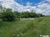 0% Comision!!! Teren intravilan Smeura - str Prunilor! 