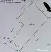 Teren intravilan Prundu - oportunitate excelentă de inve... 
