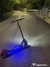 Zamelux green t4 
