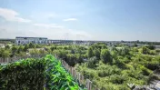 Apartament 2 camere Bragadiru Alunului, mobilat, balcon 1... 
