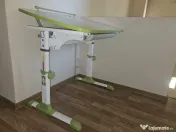 Scaun si birou ergonomic copii 