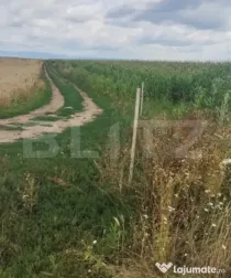 ???? Teren de vânzare în Cristian – Poziție excelentă