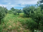 Casa complet mobilata, 3 dormitoare, garaj și livada –...