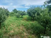 Casa complet mobilata, 3 dormitoare, garaj și livada – Racaciuni 