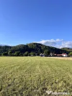 Teren 650 mp Zarnesti