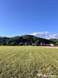 Teren 650 mp Zarnesti 