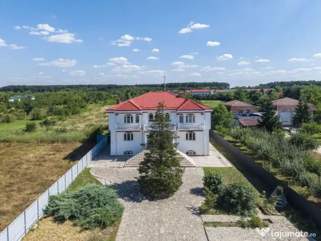 Domeniu privat 5.000 mp, cu reședință de 625 mp și pi...