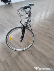 bicicleta adulti