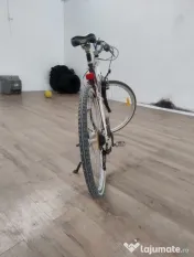 bicicleta adulti