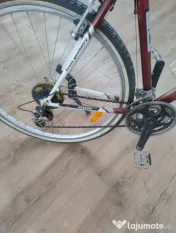 bicicleta adulti