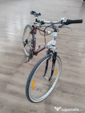 bicicleta adulti