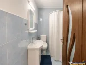 Cocheta casuta,mobilata,accesorizata, garaj,gradina,foisor,L