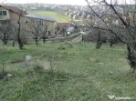 Teren intravilan , Bucium Barnova