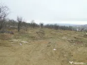 Teren intravilan , Bucium Barnova