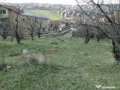 Teren intravilan , Bucium Barnova