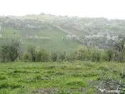 Teren intravilan , Bucium Barnova