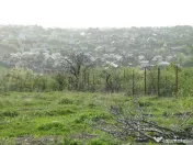 Teren intravilan , Bucium Barnova