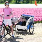 Homcom Remorca Copii pentru Bicicleta – 2 Locuri, Cadru Otel & Centuri 