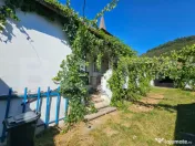 Casă cu anexe, 180 mp, teren intravilan 1.249 mp – Laz, S