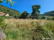Casă cu anexe, 180 mp, teren intravilan 1.249 mp – Laz, S