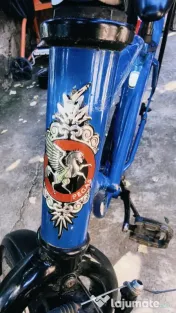 Bicicleta Pegas Strada 1