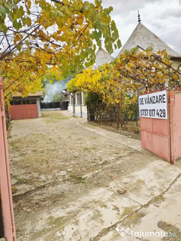 Casa de vanzare Adanca