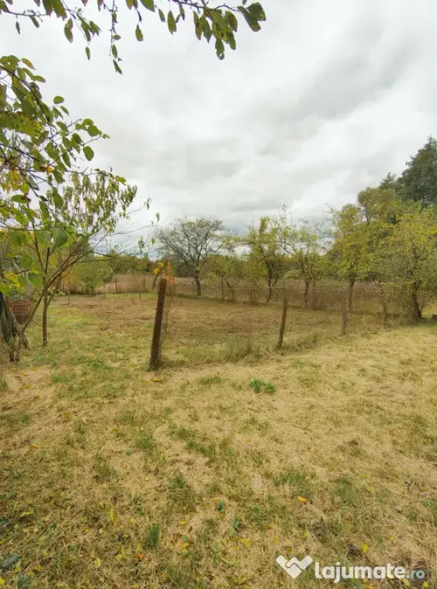 Casa de vanzare Adanca