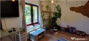 Apartament cochet,2 camere, ,cu gradina,la casa Ultracentral 
