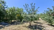 Casa Teiu Deal 84 mp toate conditile mutare imediata 