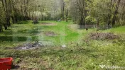 Colț de rai în Valea Voievozilor – 1.824 mp teren cu des 