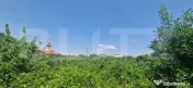 Teren intravilan 9600mp, Plaiul Vulcanesti, OMV