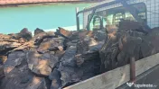 Aduc la comanda carbune lignit de calitate din cariera Berbesti