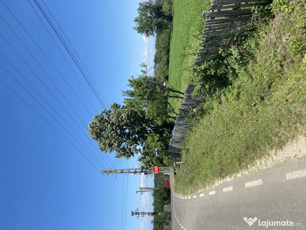 Proprietar - Vand teren intravilan in comuna Cocu, Arges, parcelabil