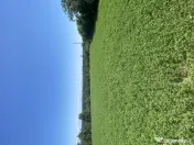 Proprietar - Vand teren intravilan in comuna Cocu, Arges, parcelabil 