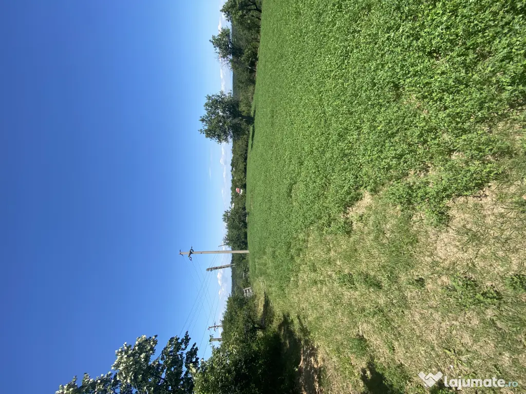 Proprietar - Vand teren intravilan in comuna Cocu, Arges, parcelabil