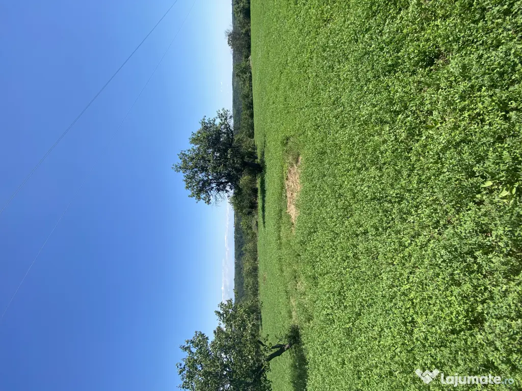 Proprietar - Vand teren intravilan in comuna Cocu, Arges, parcelabil