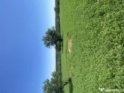 Proprietar - Vand teren intravilan in comuna Cocu, Arges, parcelabil 