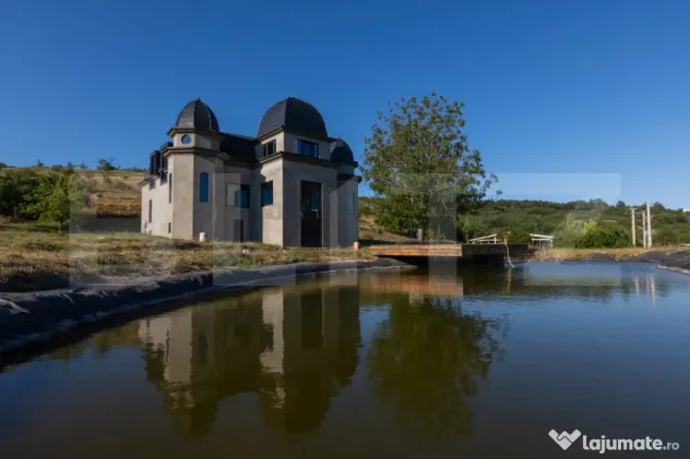 Conac boieresc 11 camere, cramă, terasă închisă 200 mp,