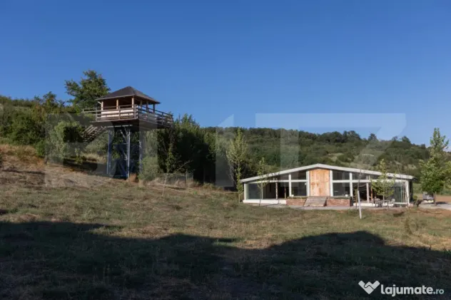 Conac boieresc 11 camere, cramă, terasă închisă 200 mp,