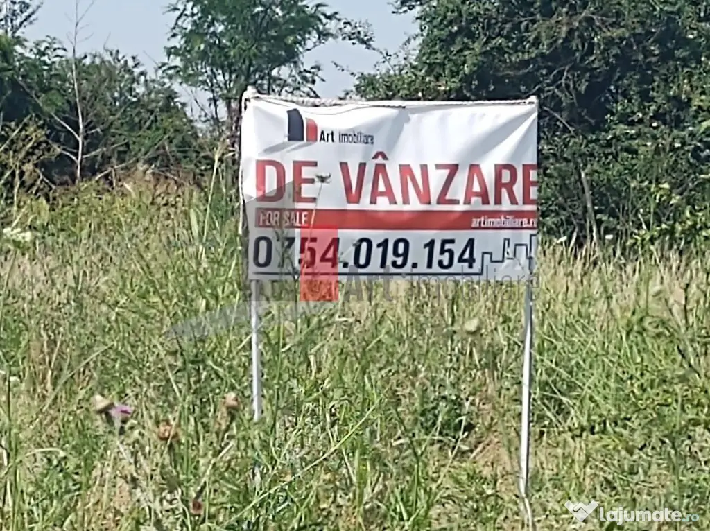 Vânzare 2 loturi de casă Dobreni Giurgiu