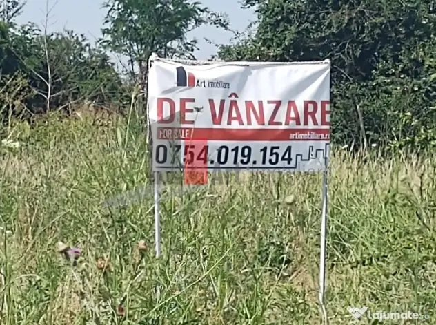 Vânzare 2 loturi de casă Dobreni Giurgiu
