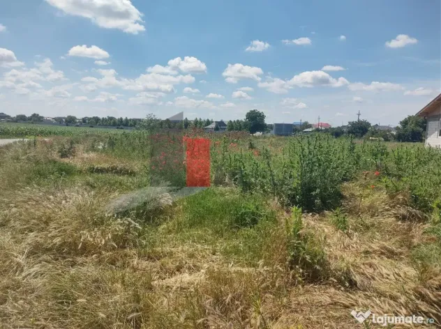 Vânzare 2 loturi de casă Dobreni Giurgiu