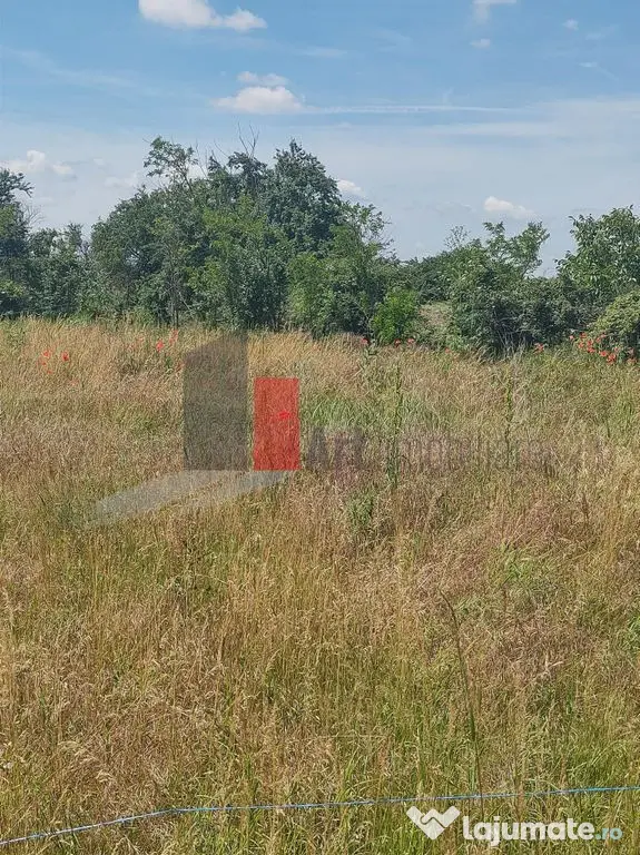 Vânzare 2 loturi de casă Dobreni Giurgiu