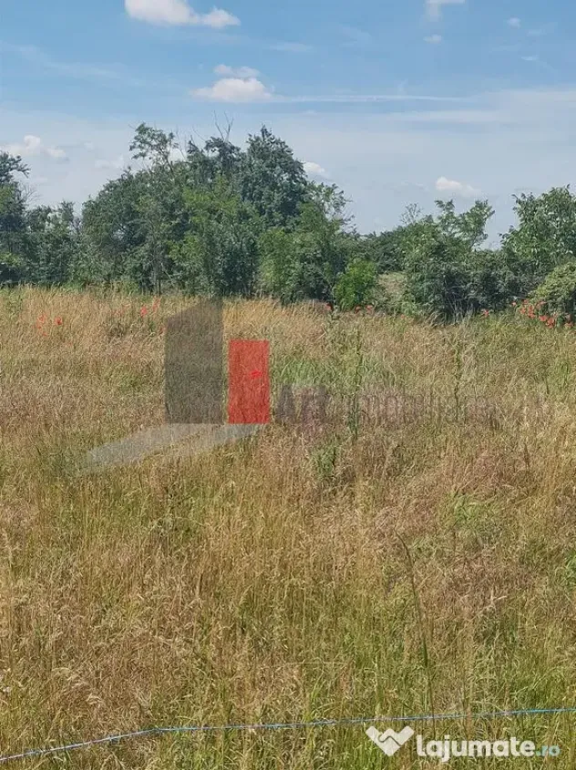 Vânzare 2 loturi de casă Dobreni Giurgiu