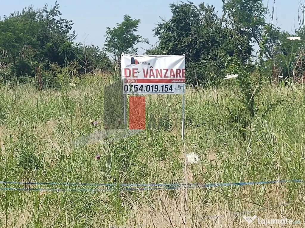Vânzare 2 loturi de casă Dobreni Giurgiu