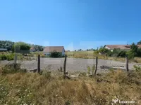 Teren intravilan 4.000 mp – Vințu de Jos, spre Pianu