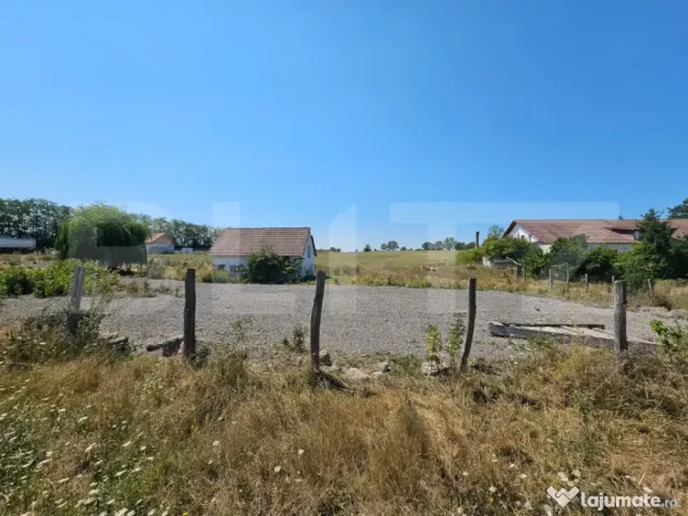 Teren intravilan 4.000 mp – Vințu de Jos, spre Pianu