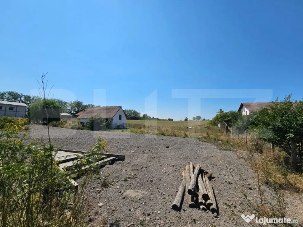 Teren intravilan 4.000 mp – Vințu de Jos, spre Pianu